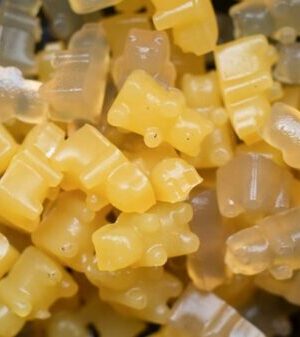 Buy Cubensis infused gummies online